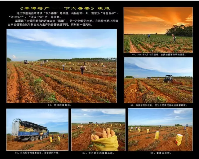 1480920264124321.png 7xing.png