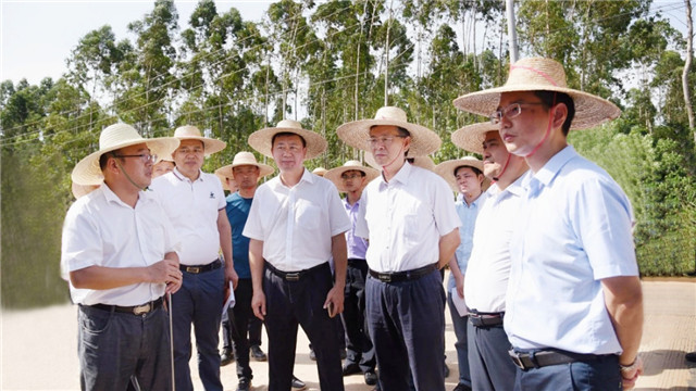 1563414962300813.jpg 湛江市委副书记、市长姜建军(前排右三)听取汇报.jpg