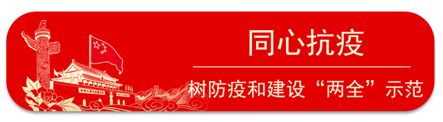 1590372338172328.png 画板 1.png