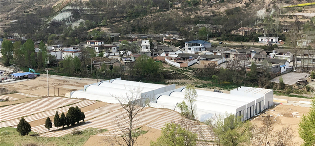 1590372750879853.jpg 西和1.jpg