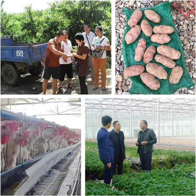 1590372836161532.jpg 华农.jpg