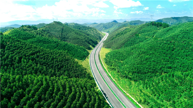 1591061384291371.jpg 梧州1.jpg