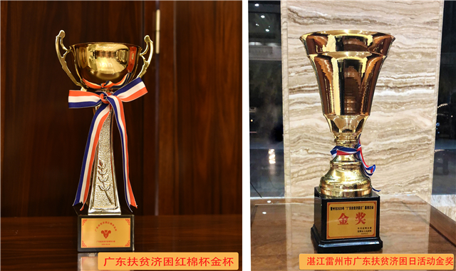 两个奖杯.jpg