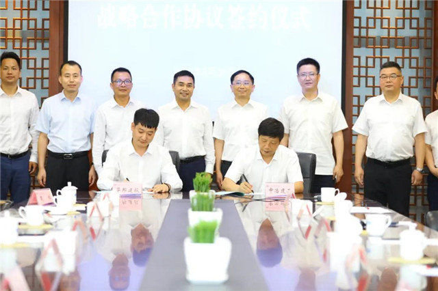 1593654116348914.jpg 4.jpg