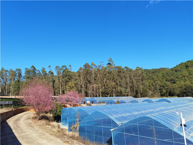 1619056531608080.jpg 03.jpg